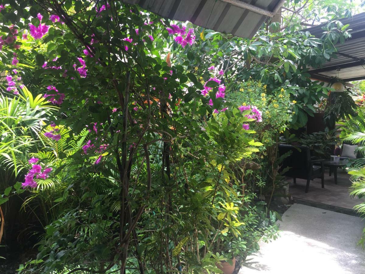 Lemon House Samui Hotel Mae Nam Exterior photo